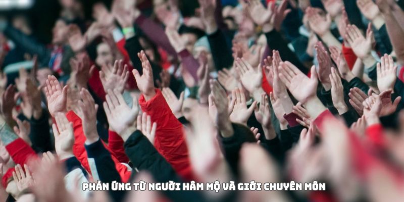 Phản ứng từ người hâm mộ và giới chuyên môn