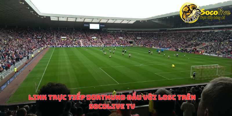 Link trực tiếp Dortmund đấu với LOSC trên Socolive TV